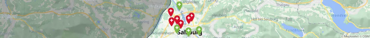 Kartenansicht für Apotheken-Notdienste in der Nähe von Bergheim (Salzburg-Umgebung, Salzburg)